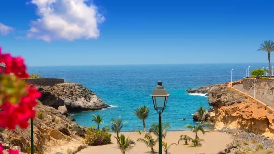 Adeje, Teneriffa - Gebietsführer